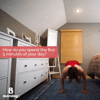GIF by Primitive