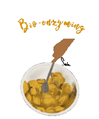 Festival Saree Sticker by Suta Bombay