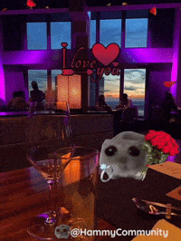 Propose I Love You GIF by Sad Hamster