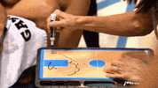 Diana Taurasi Basketball GIF by WNBA