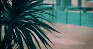 Pal Pal Dil Ke Paas Arjun GIF by arjunartist