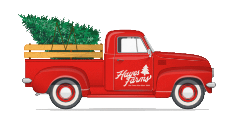 Christmas Tree Sticker by Hayes Farms