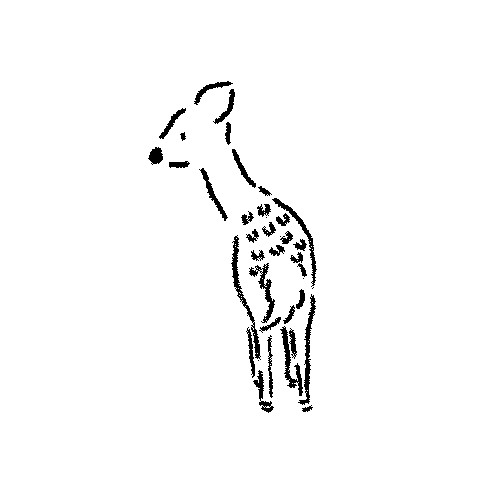 Deer Wildlife Sticker by ikuzetohoku_official