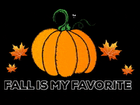 Krystalsmindblog fall orange autumn pumpkin GIF