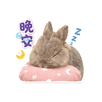 Vplab Sticker by ltudcd