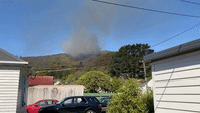 Wildfire Breaks Out in Hills of Lower Hutt