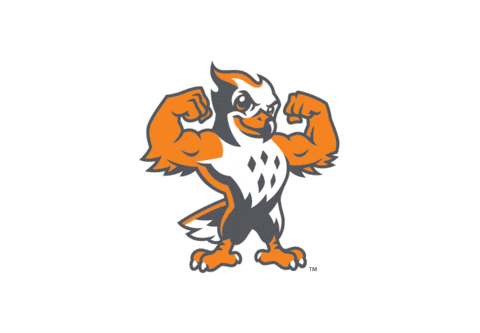 UTSouthern giphyupload utsouthern utsfirehawks goutsfirehawks Sticker