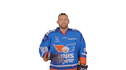 Hockey Den Sticker by UNIS Flyers