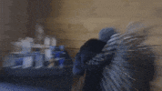 Catholic Church Lol GIF by Jenny Lorenzo