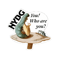 nybg  Sticker