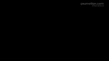 Liquid fluid animation toolkit plus transitions