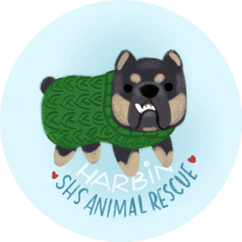 Dog Sticker