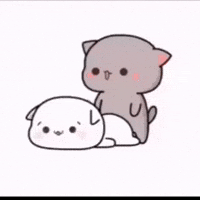 Couple Fool Around GIF