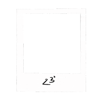 Polaroid Sticker