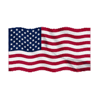 Sticker Usa Sticker