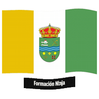Castilla Y Leon Flag Sticker by Formación Ninja
