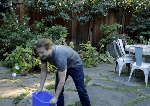 zuckerberg GIF