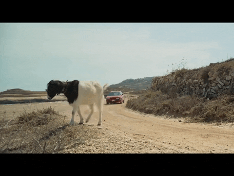 Car Driving GIF by VVS FILMS