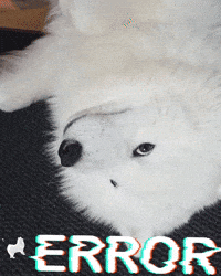 Error Storing GIF