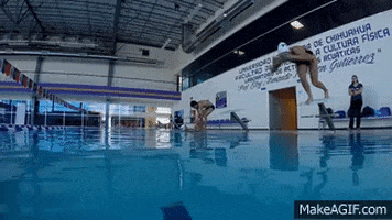 skillsnt giphyupload GIF