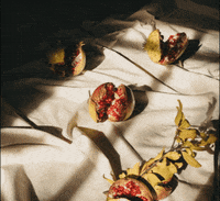 Origo_S skincare natural origo GIF