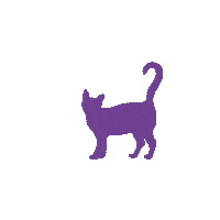 Cat Kat Sticker by Uitgeverij De Fontein