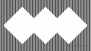 Zebra GIF by The Explainer Studio