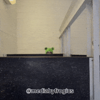 Mediabyfrogius GIF