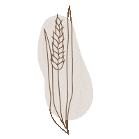 Flower Sticker by kind of hazel