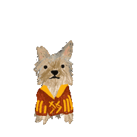 King Yorkie Sticker by Andrea Caceres