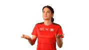 Switzerland Swipe Up Sticker by Swiss Football Association