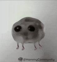 Dance Dancing GIF by Sad Hamster