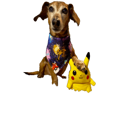 Daschund Sticker by Geekster Pets
