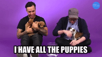 All The Puppies