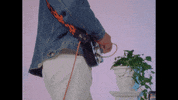 friday night dancing GIF by Domino Recording Co.