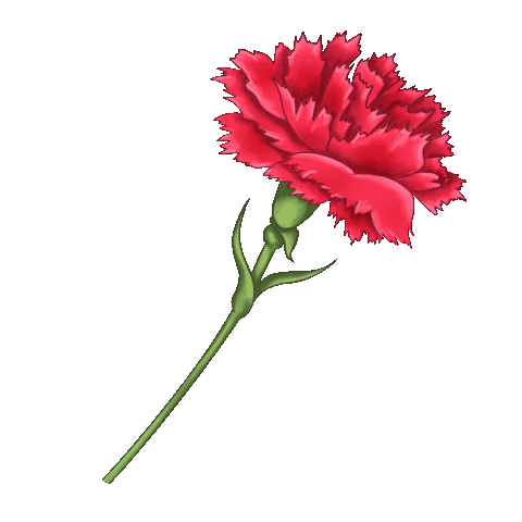 art_lira giphyupload победа pobeda 9мая Sticker