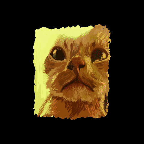 Cat Sticker GIF