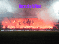 Austria Wien GIF