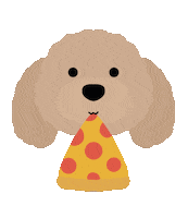 Toy Poodle Sticker