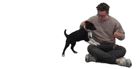 Puppy Fetch Sticker by WITWINKEL
