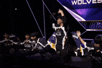Fw Flashwolves GIF