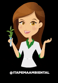 ItapemaAmbiental saúde transporte natureza itapema GIF