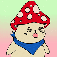 Fun Wow GIF by Sappy Seals Community