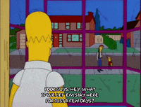 homer simpson GIF