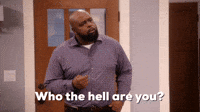 Who The Hell Are You?