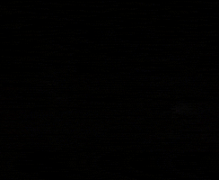 New Haven Fire GIF by District Dave