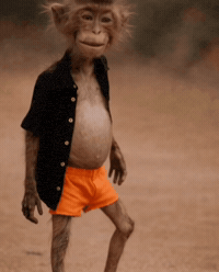 Dance Dancing GIF