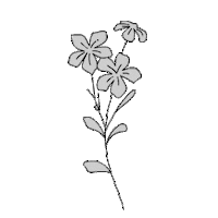 flowers earth Sticker by CAM Jewelry