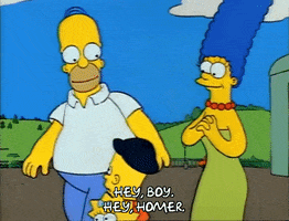 Season 1 GIF by The Simpsons