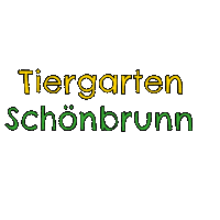 Panda Zoo Sticker by Lieblings-Stück